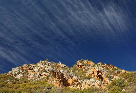 Fynbos landscape (c) Craig Turner